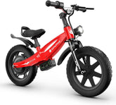 isinwheel SK14 2-in-1 Electric Bike